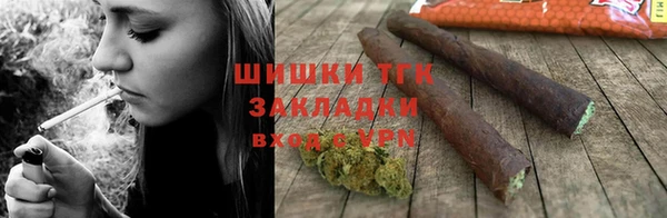 мдпв Каменногорск