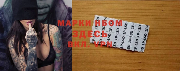 мдпв Каменногорск