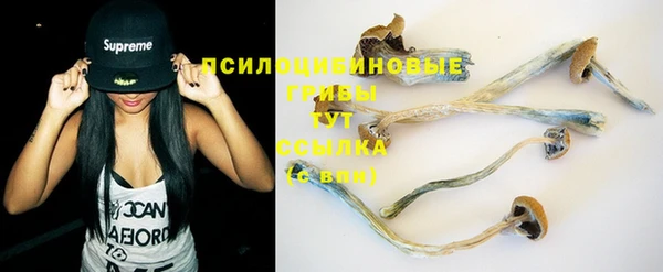твердый Каменка