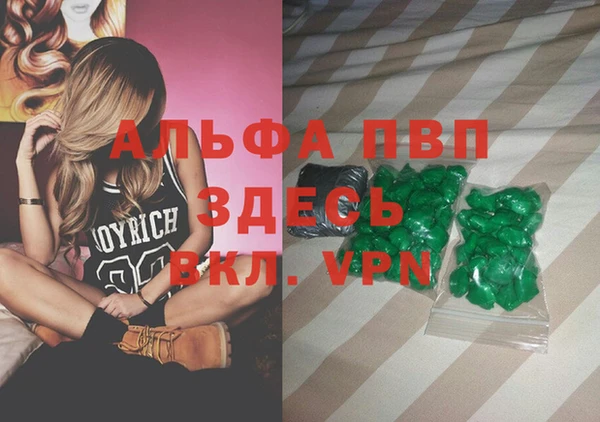 мдпв Каменногорск