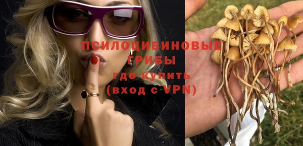 гидропоника Каменск-Шахтинский