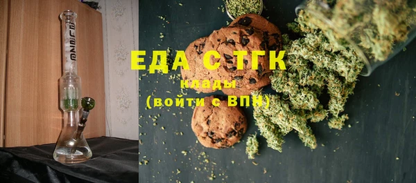 мдпв Каменногорск