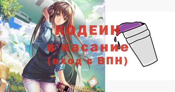 мдпв Каменногорск