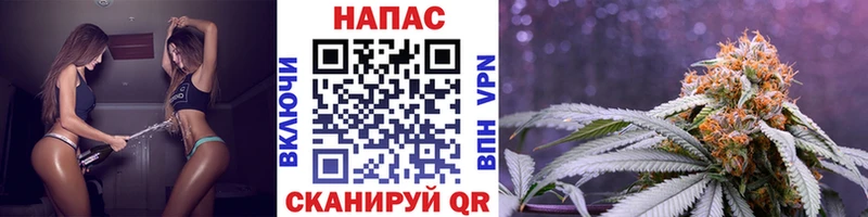 Купить закладки  Оса  Канабис планчик 